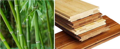 Бамбуковый паркет является популярным "зеленым" материалом, но он не является устойчивым